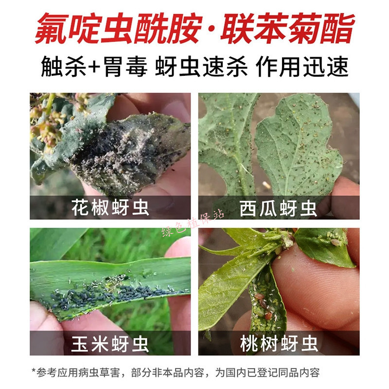氟啶虫酰胺联苯菊酯抗性蚜虫桃蚜棉蚜黑蚜木虱蓟马绿叶蝉等