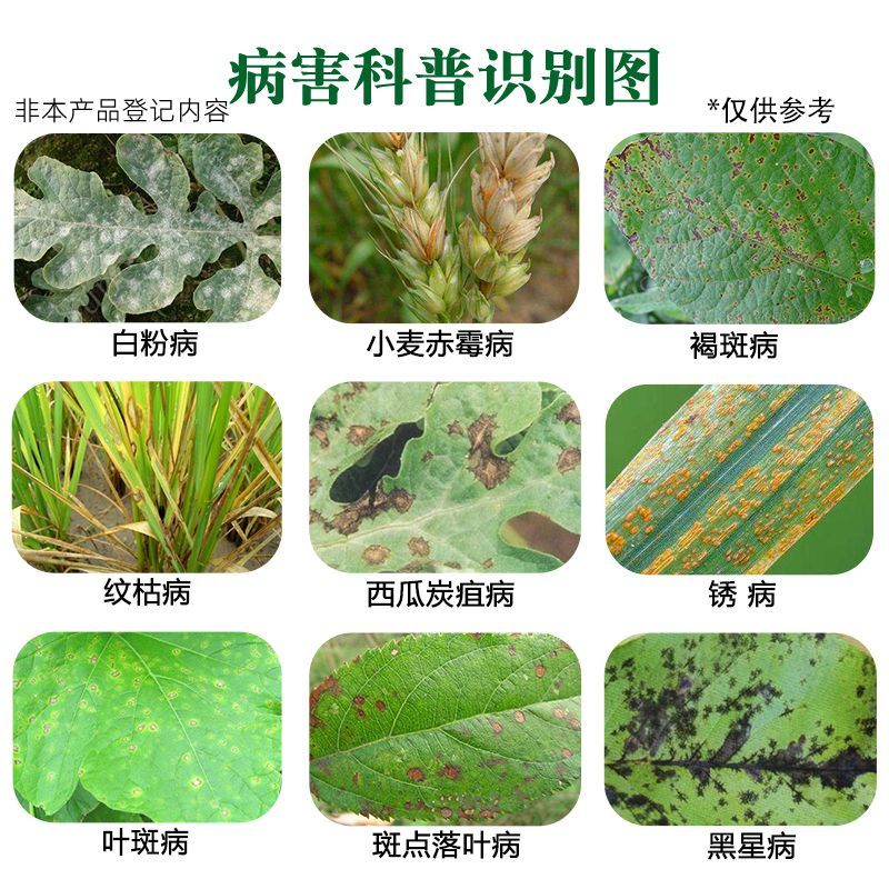 40%10%苯醚甲环唑苹果黑星病梨树锈病白粉病褐斑叶斑病
