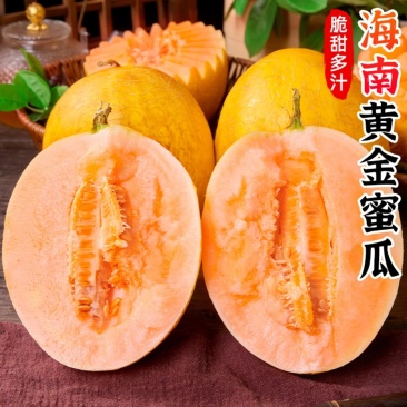 海南黄金蜜瓜一件代发产地直发一手货源对接各大电商平台
