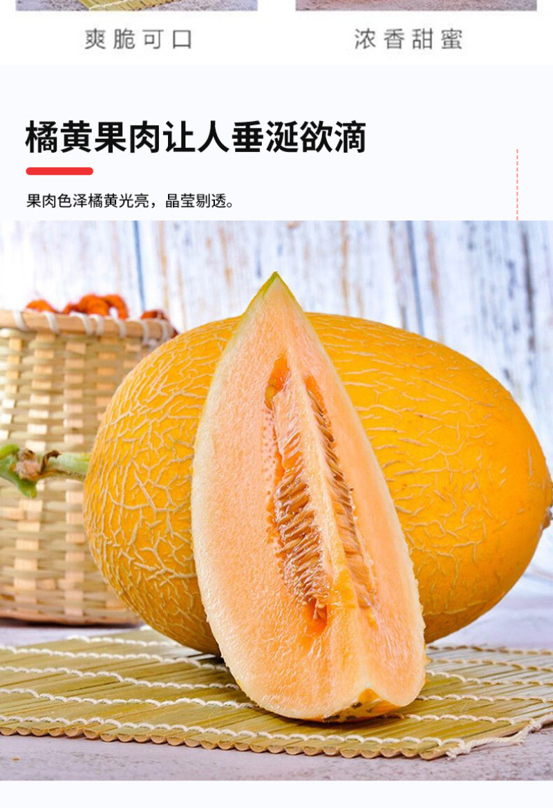海南黄金蜜瓜一件代发产地直发一手货源对接各大电商平台