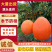 奉节脐橙/重庆橙子/产地直发/保质保量/对接全国商超市场