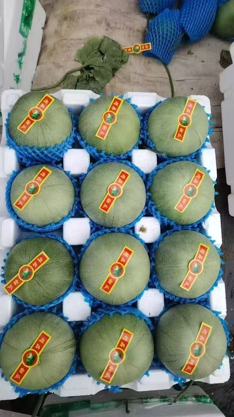 莘县精品绿宝/绿美人甜瓜/产地直发/保质保量/欢迎来电