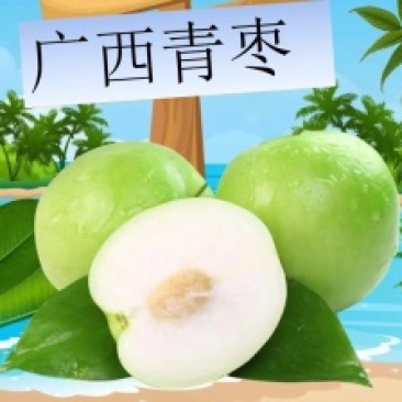 广西牛奶枣脆甜可口果香浓郁一件代发多多买菜社区团购