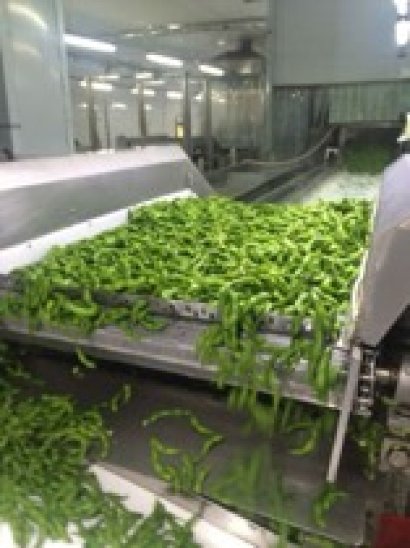 速冻盐水毛豆荚工厂发货批发价一手货源，纯香料卤煮毛豆