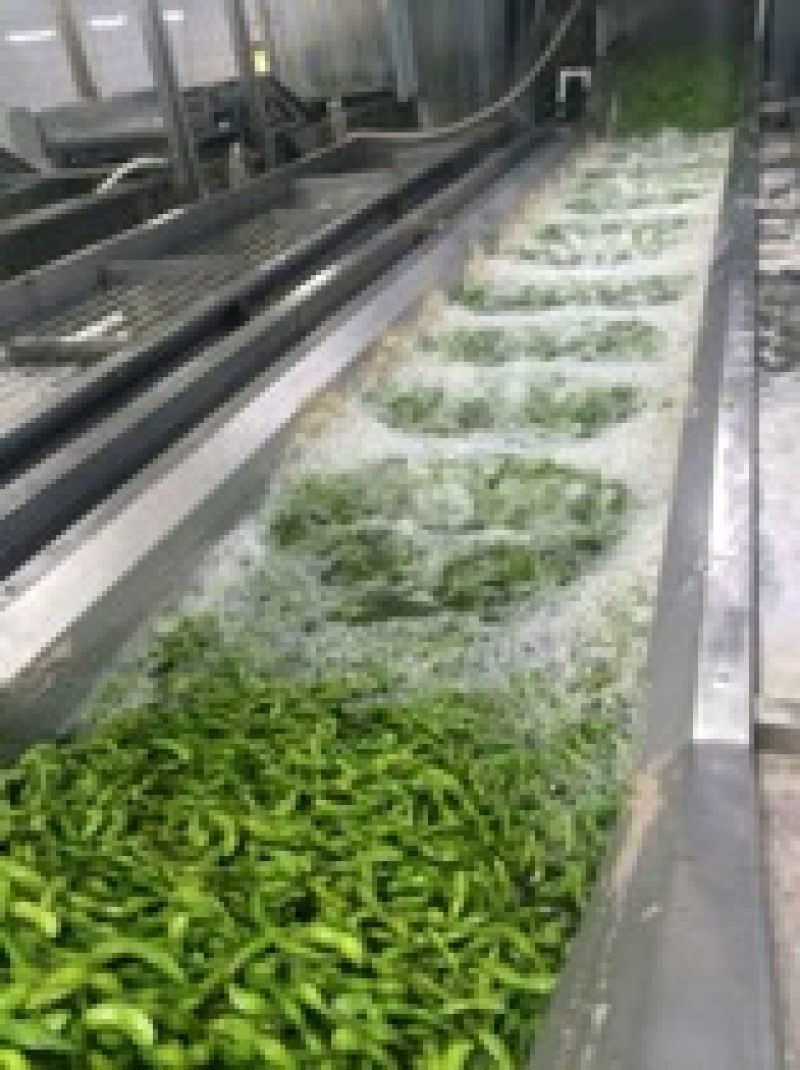 速冻盐水毛豆荚工厂发货批发价一手货源，纯香料卤煮毛豆