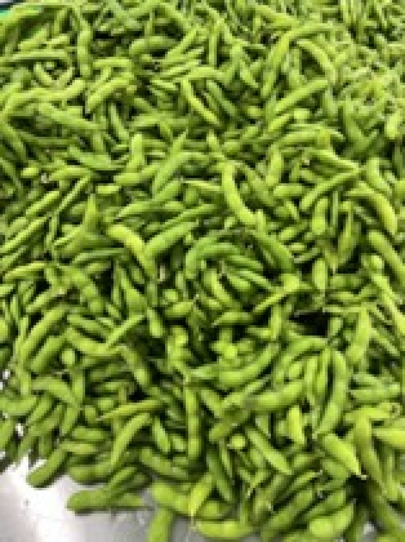 速冻盐水毛豆荚工厂发货批发价一手货源，纯香料卤煮毛豆