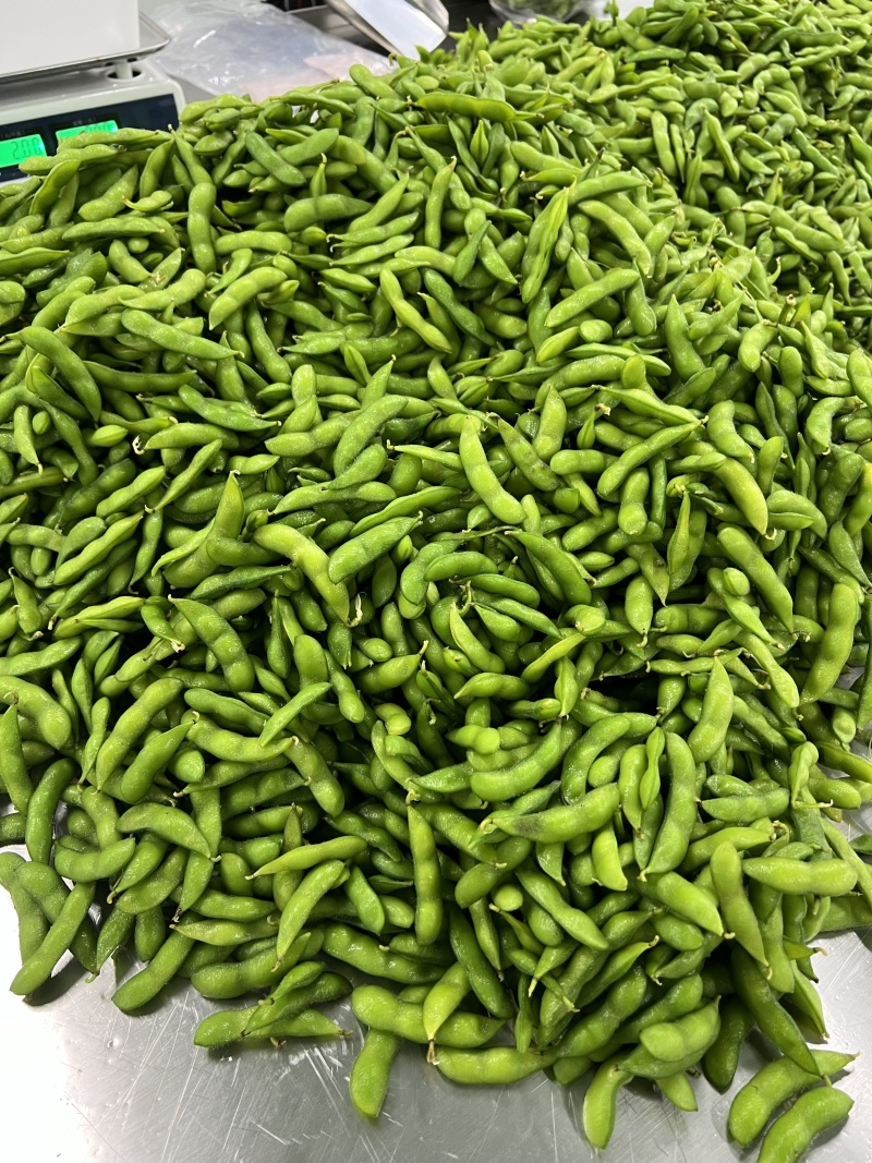 速冻盐水毛豆荚工厂发货批发价一手货源，纯香料卤煮毛豆