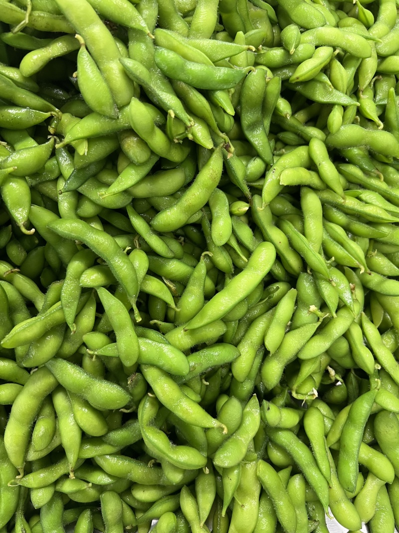 速冻盐水毛豆荚工厂发货批发价一手货源，纯香料卤煮毛豆
