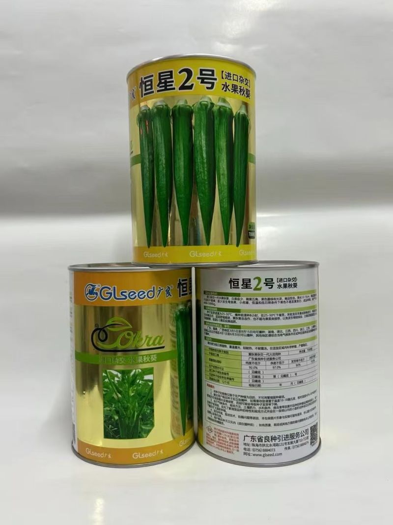恒星2号水果秋葵种子深绿耐雨水进口黄秋葵种子