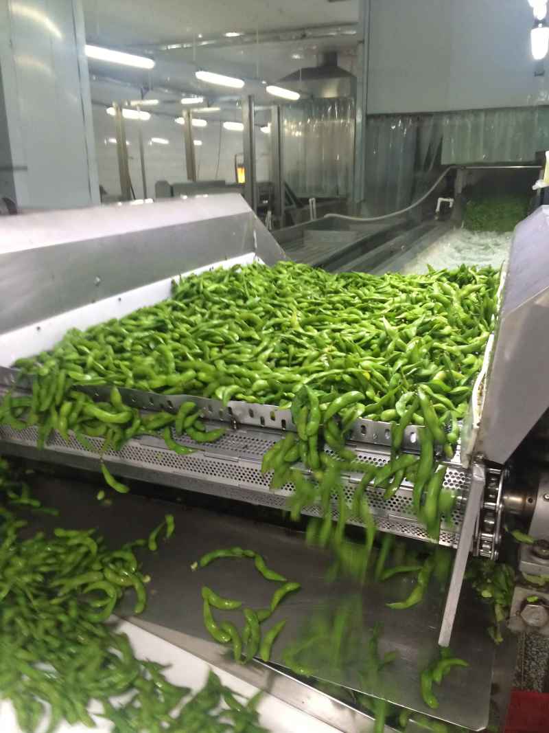 毛豆工厂直发，一手货源，品质保证，欢迎来电视频看货