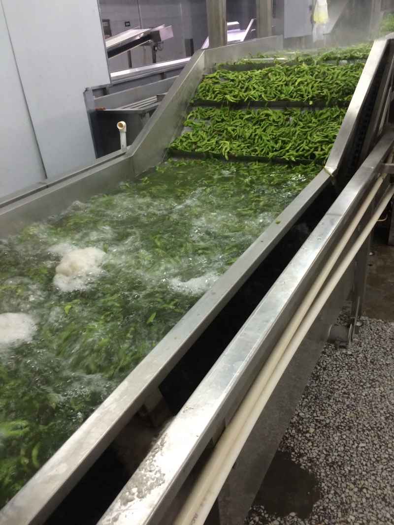 毛豆工厂直发，一手货源，品质保证，欢迎来电视频看货