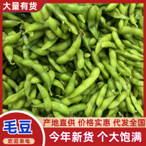 速冻盐水毛豆荚工厂发货批发价一手货源，纯香料卤煮毛豆
