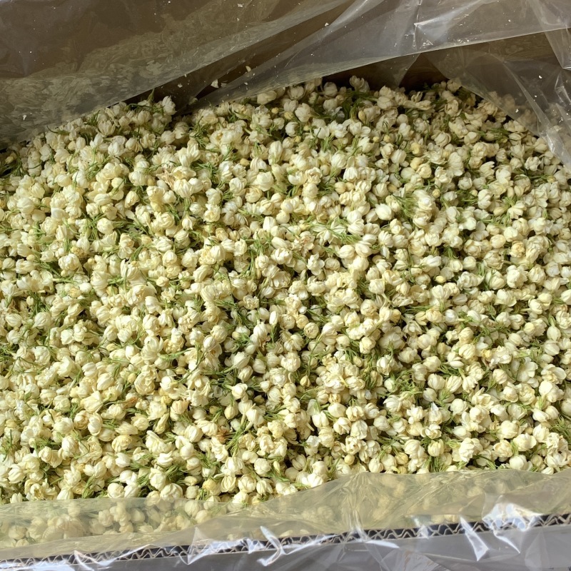 冻干茉莉花2026新花茉莉花茶原花香无印茶厂家直供