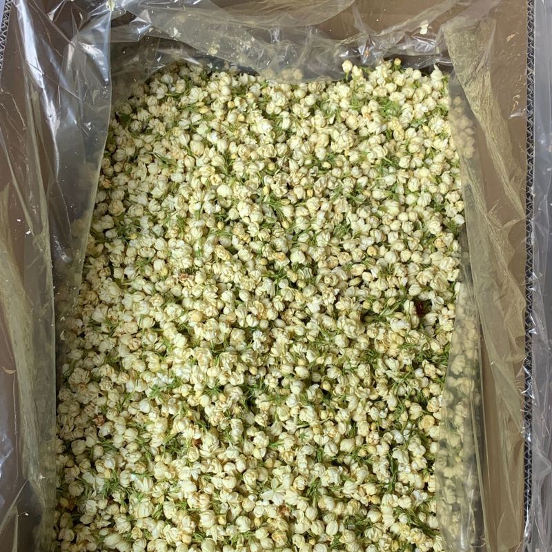 冻干茉莉花2026新花茉莉花茶原花香无印茶厂家直供