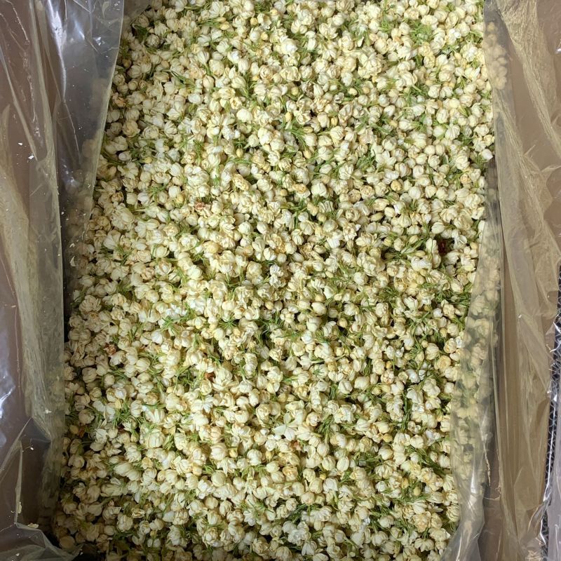 冻干茉莉花2026新花茉莉花茶原花香无印茶厂家直供
