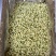 冻干茉莉花2026新花茉莉花茶原花香无印茶厂家直供
