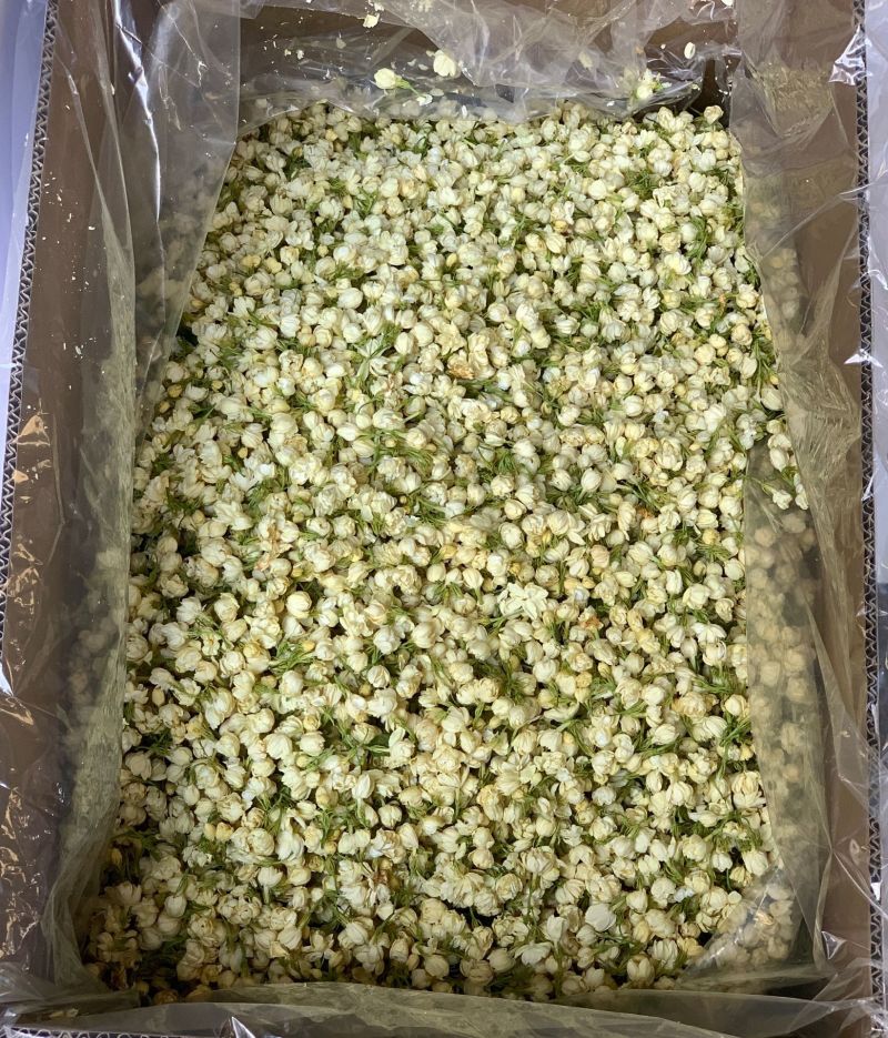 冻干茉莉花2026新花茉莉花茶原花香无印茶厂家直供