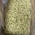 冻干茉莉花2026新花茉莉花茶原花香无印茶厂家直供