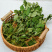 冻干柠檬香蜂草柠檬香蜂草干品冻干香蜂草干枝叶源头工厂