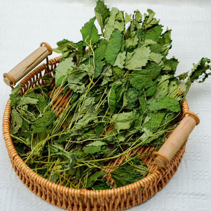 冻干柠檬香蜂草柠檬香蜂草干品冻干香蜂草干枝叶源头工厂