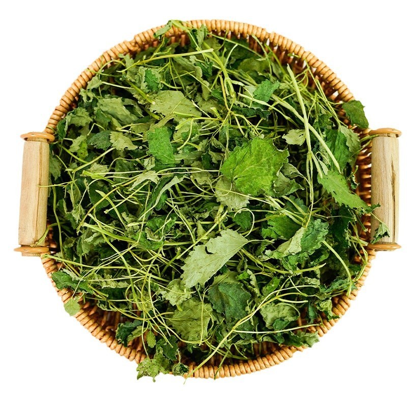 冻干柠檬香蜂草柠檬香蜂草干品冻干香蜂草干枝叶源头工厂