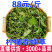 冻干柠檬香蜂草柠檬香蜂草干品冻干香蜂草干枝叶源头工厂