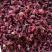 云南冻干洛神花茶玫瑰茄冻干花整朵云南特产500g新货冻干
