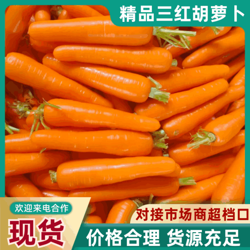 河南开封三红胡萝卜，对接全国，信誉第一，质量三包，基地货源。