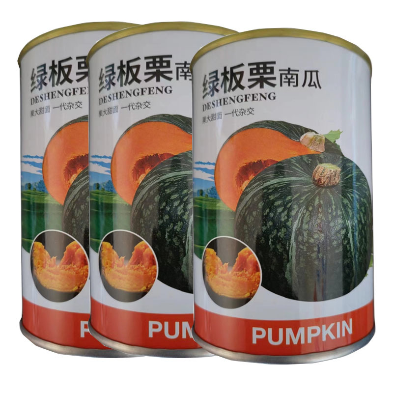 绿板栗南瓜种子早熟南瓜面窝瓜种籽黑贝贝南瓜超甜糯南瓜籽