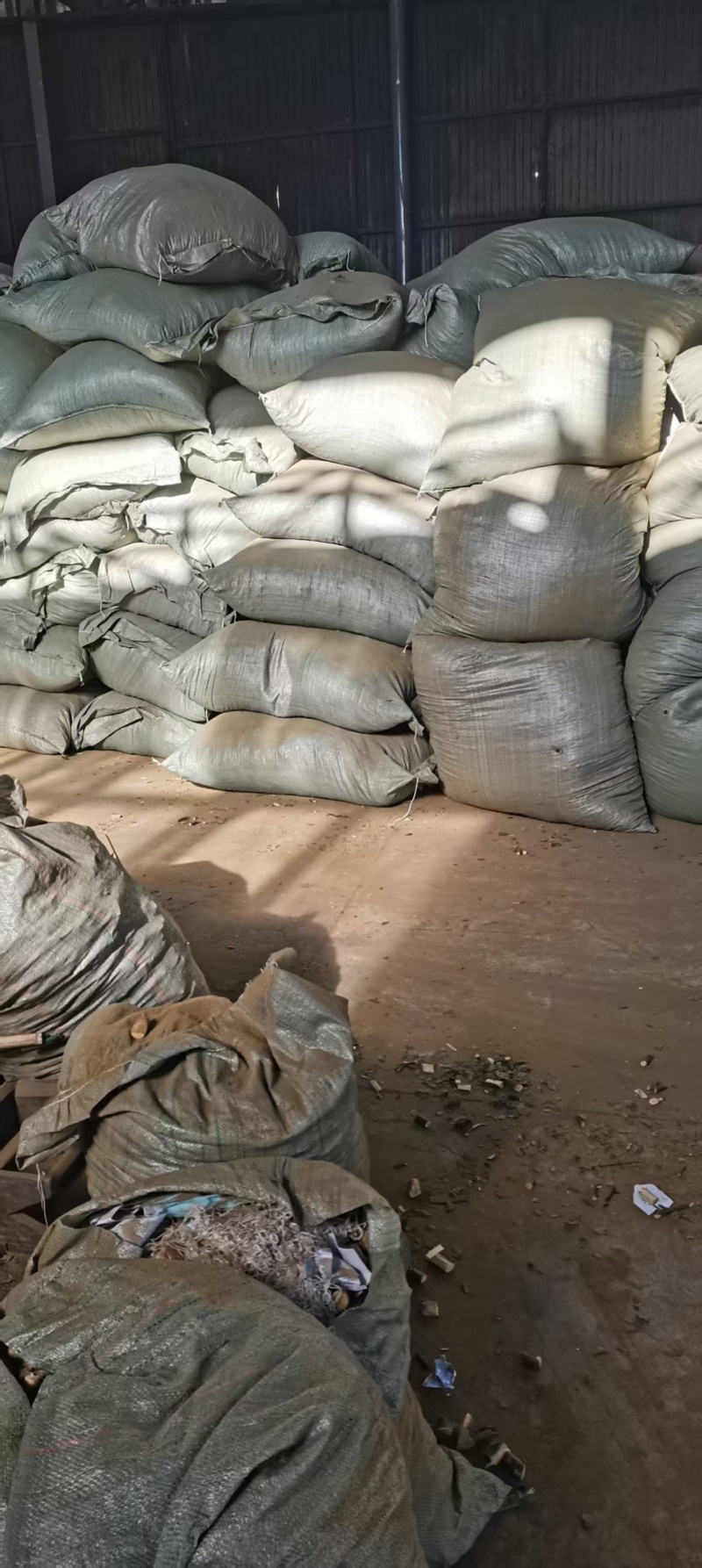 云南中药材猴耳环产地直发货源充足欢迎来基地考察订购