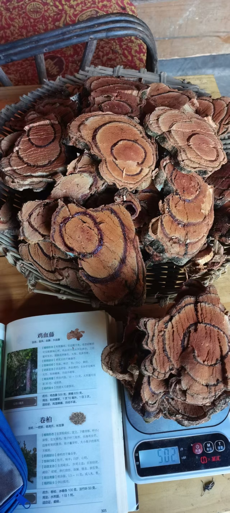 云南中药材鸡血藤大量上市品质上呈欢迎来基地考察订购