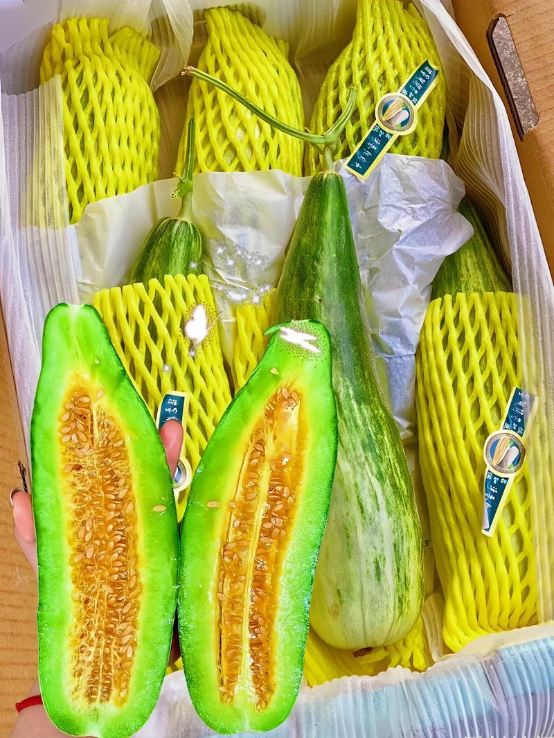 羊角蜜博洋9甜瓜支持线上线下一件代发/品质保证/量大从优