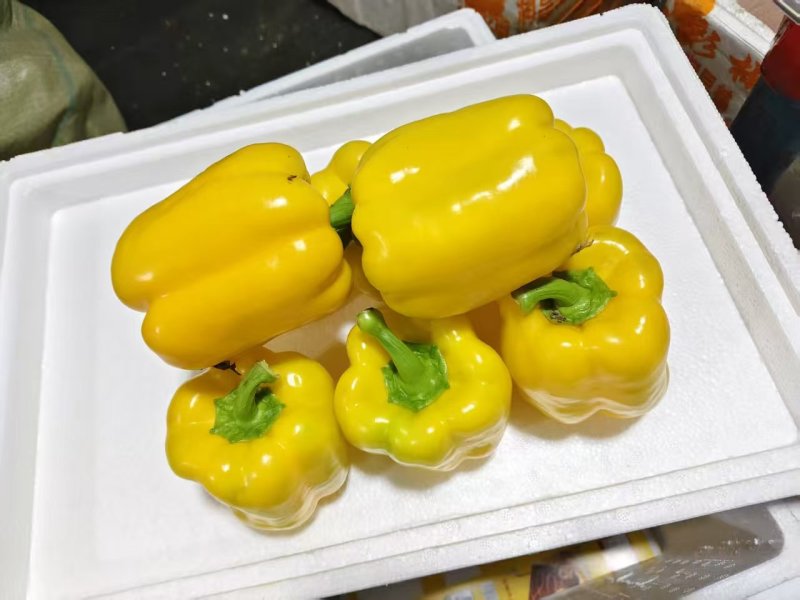 精品五彩椒，黄椒，产地直发货源充足，品质保证，欢迎各地