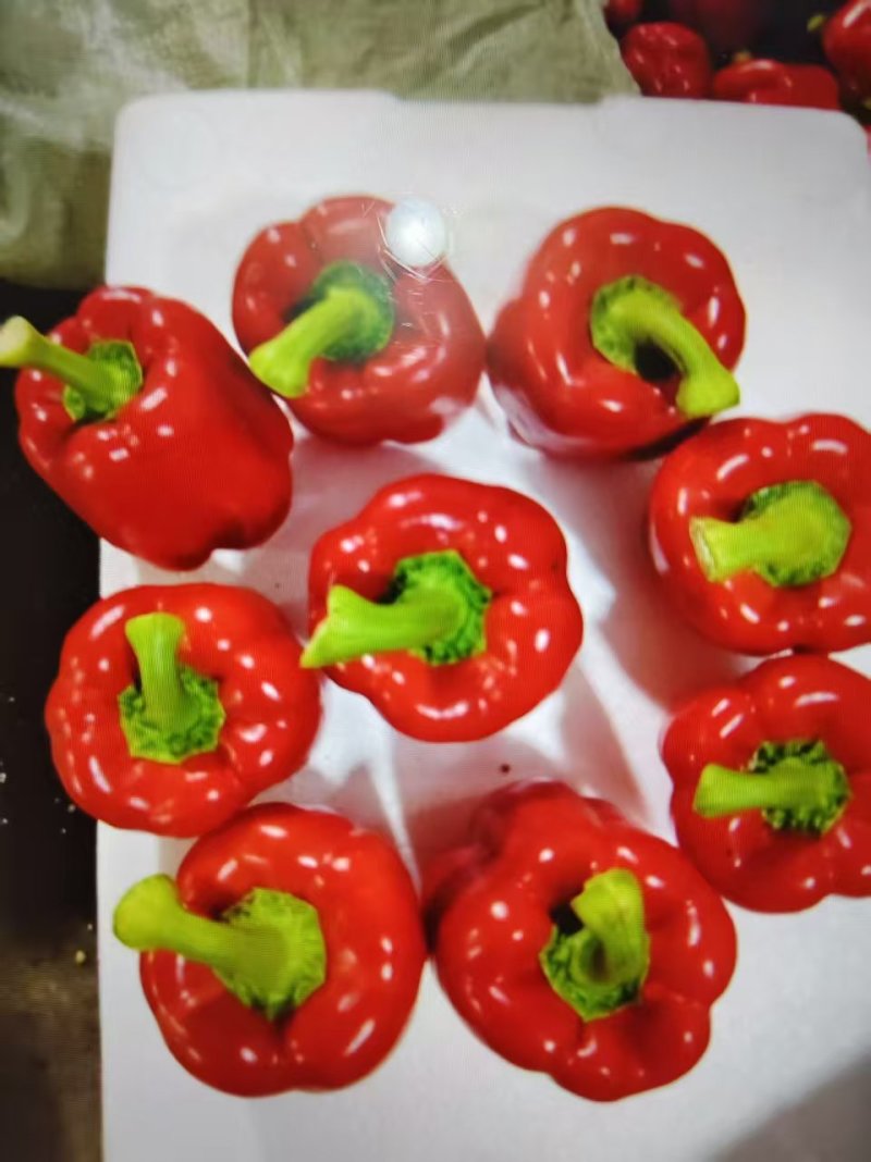 精品五彩椒，红椒，产地直发货源充足，品质保证，欢迎各地