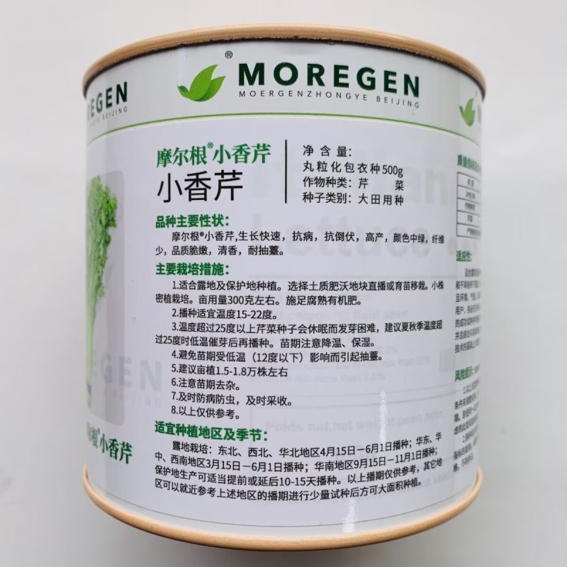 摩尔根小香芹种子丸粒化包衣芹菜种籽四季抗倒伏抗病脆嫩清香