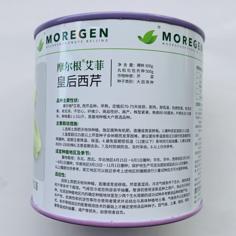 丸粒化西芹种子皇后西芹种籽单粒播种包衣四季耐热芹种子种子