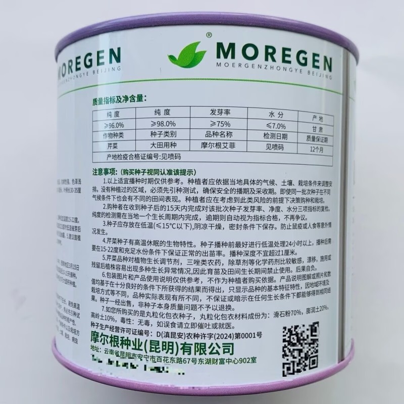 丸粒化西芹种子皇后西芹种籽单粒播种包衣四季耐热芹种子种子