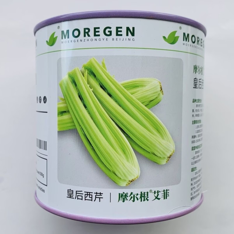 丸粒化西芹种子皇后西芹种籽单粒播种包衣四季耐热芹种子种子
