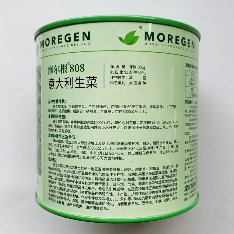 摩尔根808意大利生菜种子半结球生菜种籽高产全年耐抽苔
