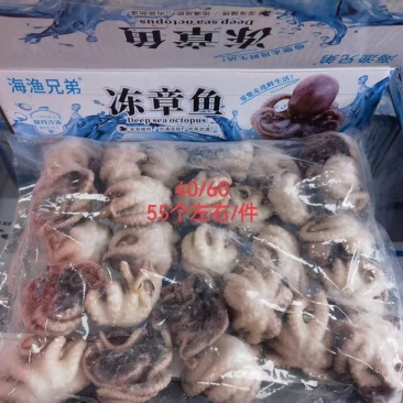 单冻熟八爪鱼