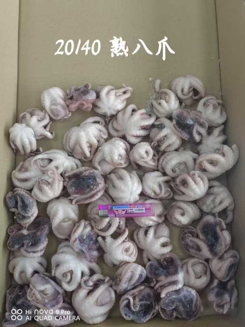 单冻熟八爪鱼