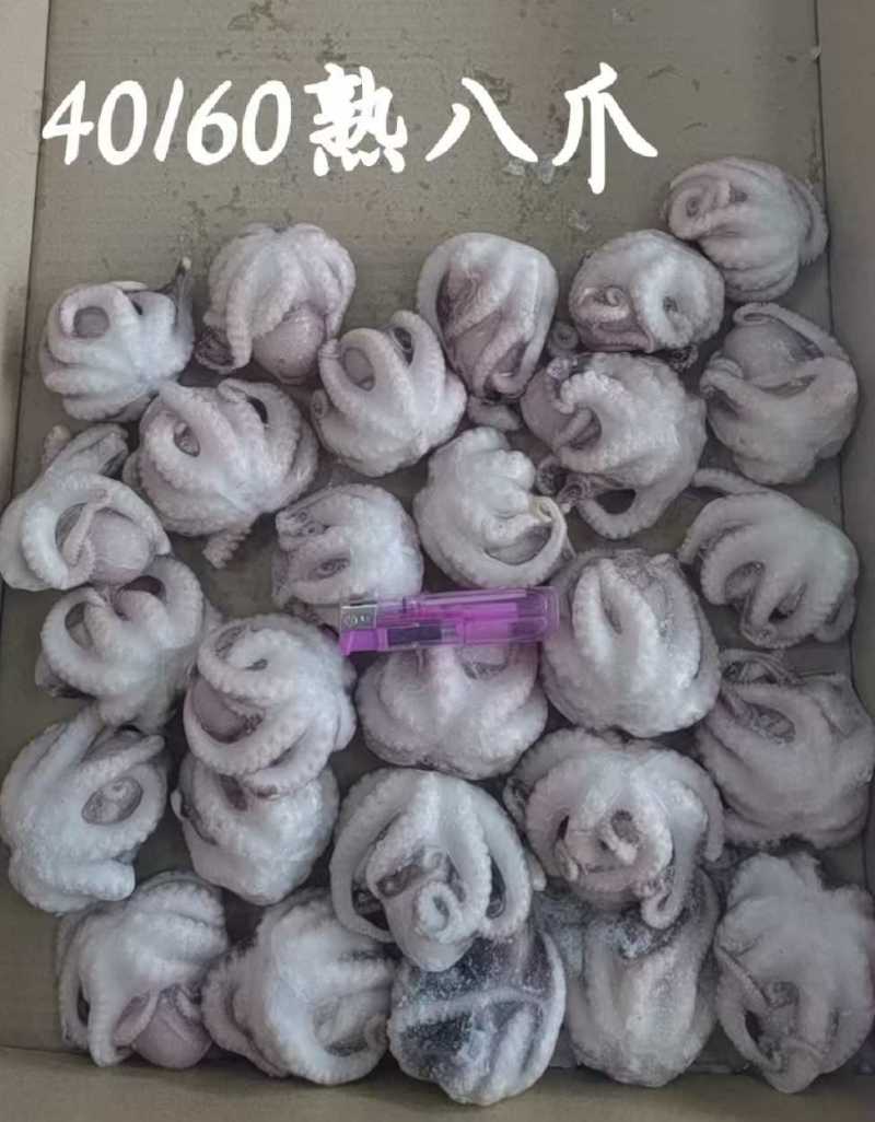 单冻熟八爪鱼