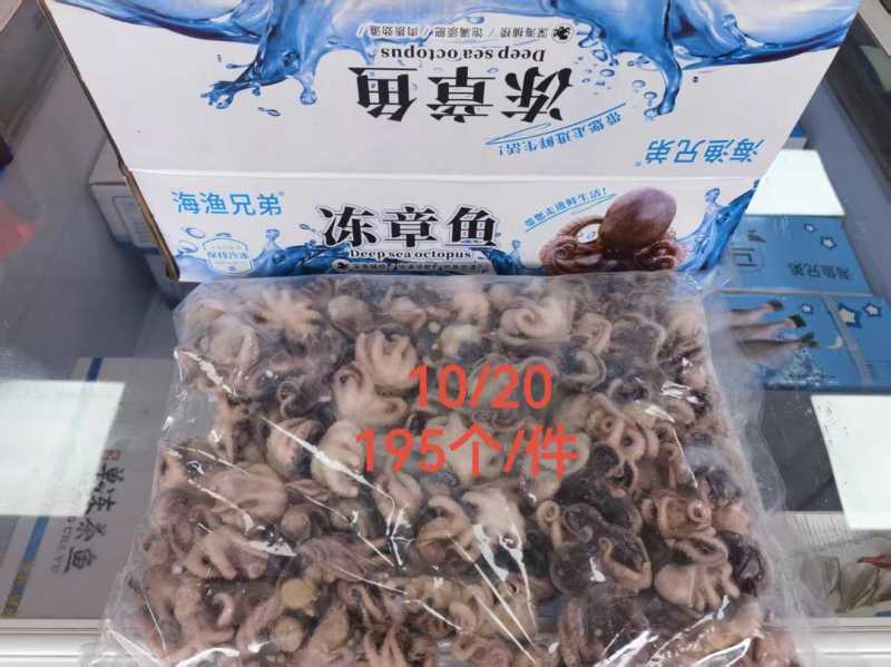 单冻熟八爪鱼