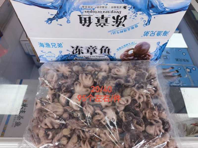 单冻熟八爪鱼