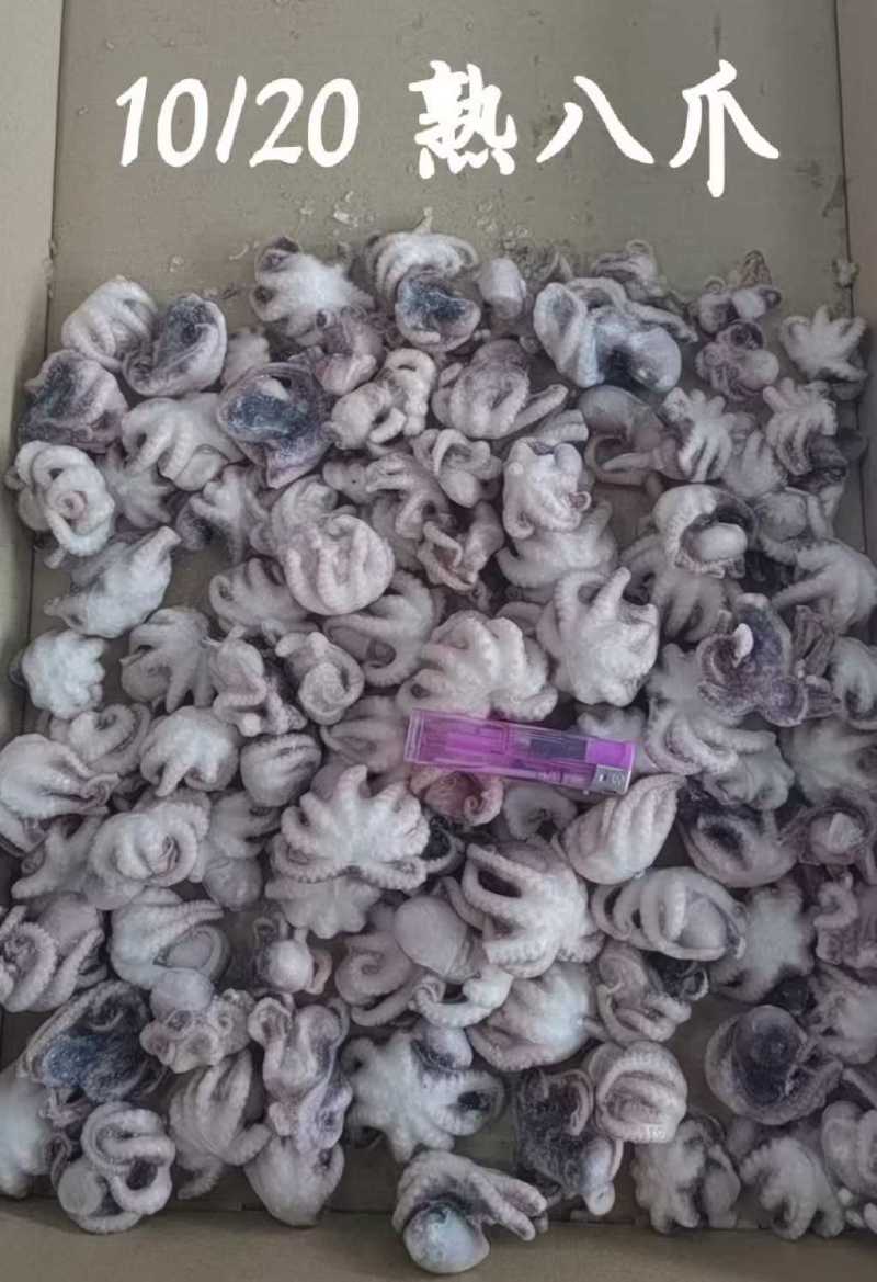 单冻熟八爪鱼