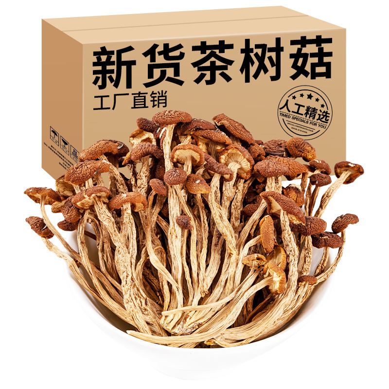 新鲜茶树菇干货净重煲汤食材不开伞茶树菇酒店餐厅适用