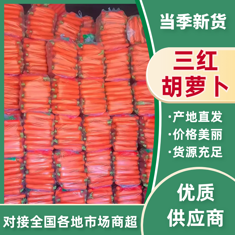 云南精品胡萝卜，水洗货，对接市场档口电商，商超，量大从优