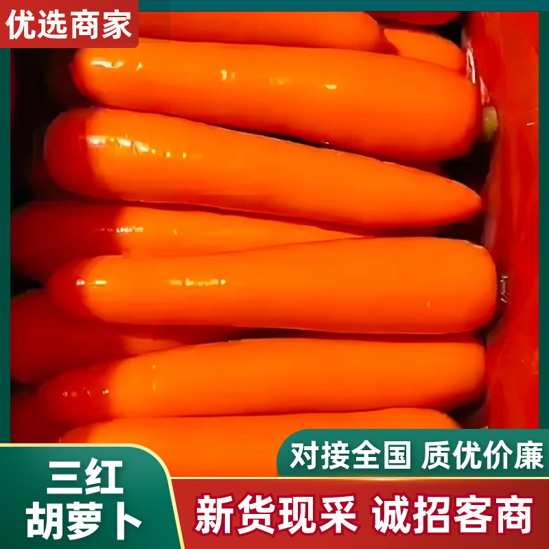 云南精品胡萝卜，水洗货，对接市场档口电商，商超，量大从优