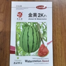 金美2K西瓜种子礼品西瓜种子早熟瓤红高产基地用种小西瓜种