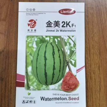 金美2K西瓜种子礼品西瓜种子早熟瓤红高产基地用种小西瓜种